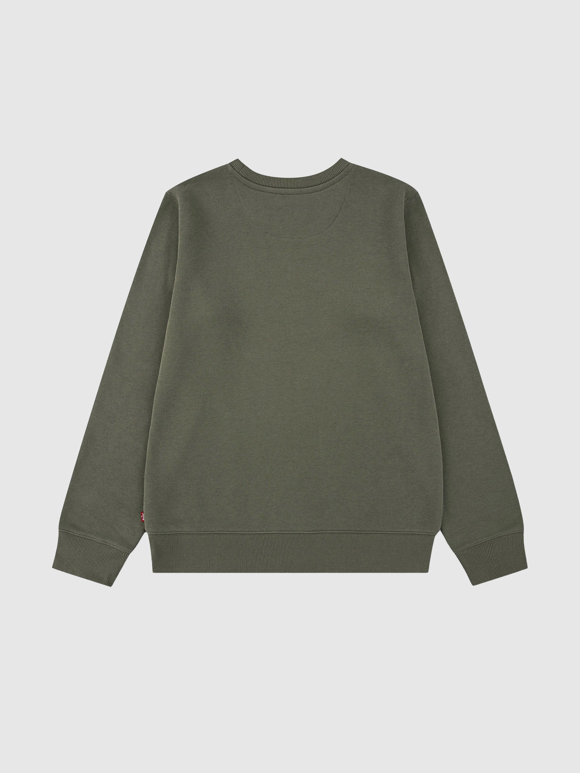 Jumper Boy Green Levis