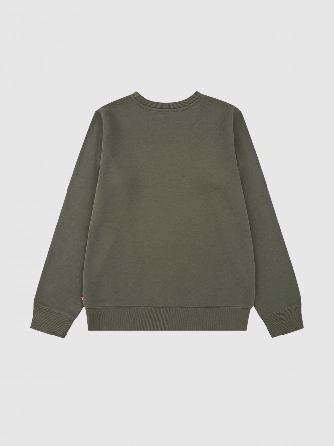 Jumper Boy Green Levis