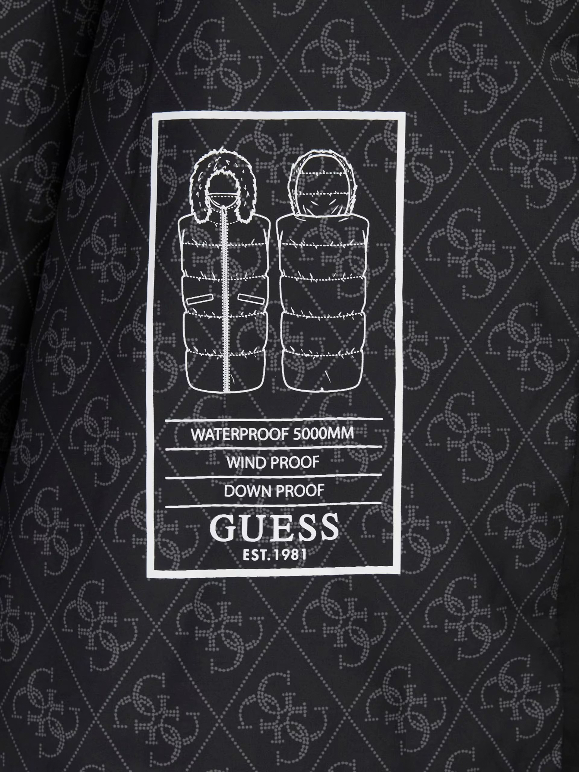 Jacket Woman Black Guess