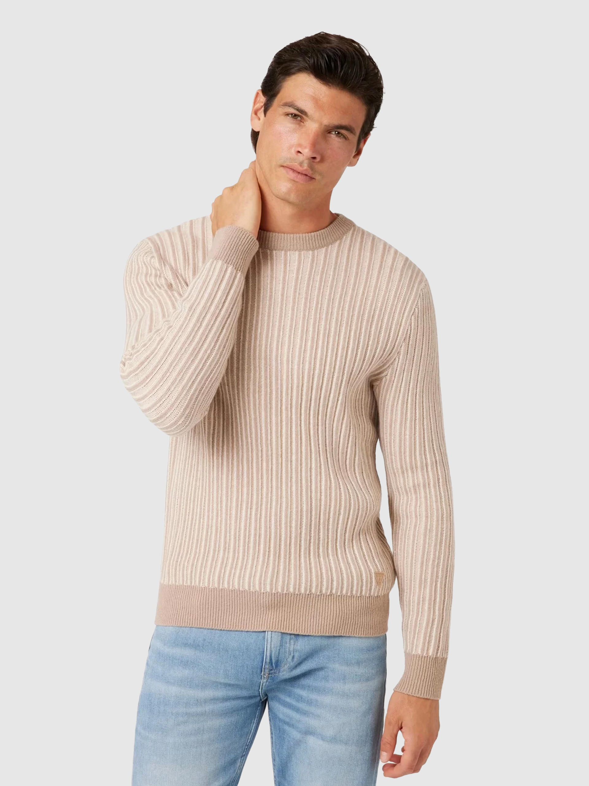 Pullover Man Guess