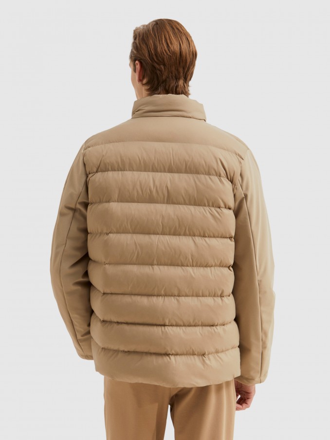 Jacket Man Beige Lion Of Porches