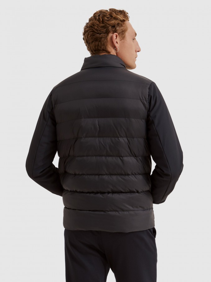 Jacket Man Navy Blue Lion Of Porches