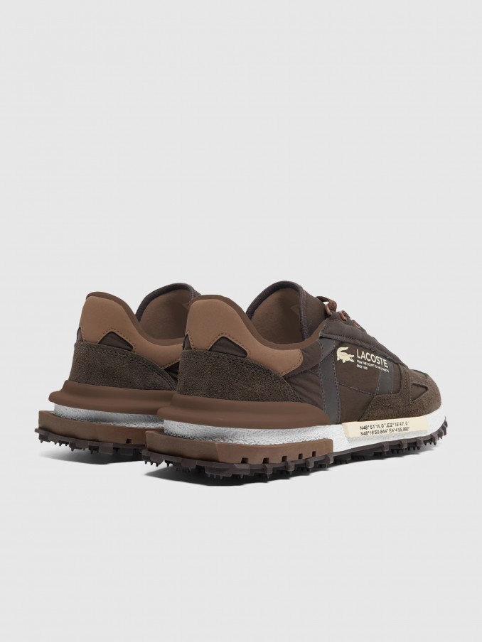 Sneakers Man Brown Lacoste