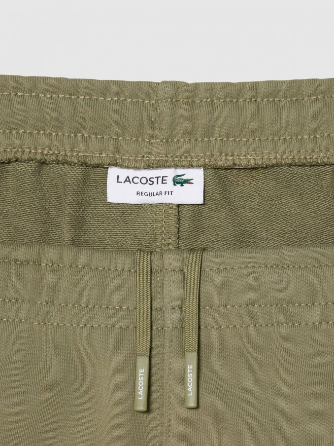 Pantalones Cortos Hombre Verde Lacoste