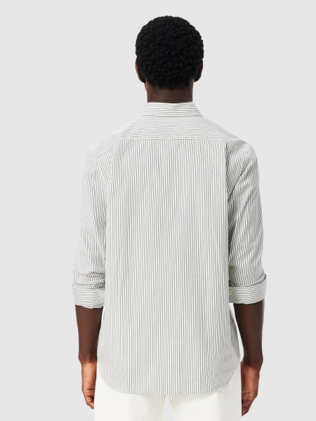 Camisa Homem Regular Fit Striped Cotton Pinpoint Shirt Lacoste