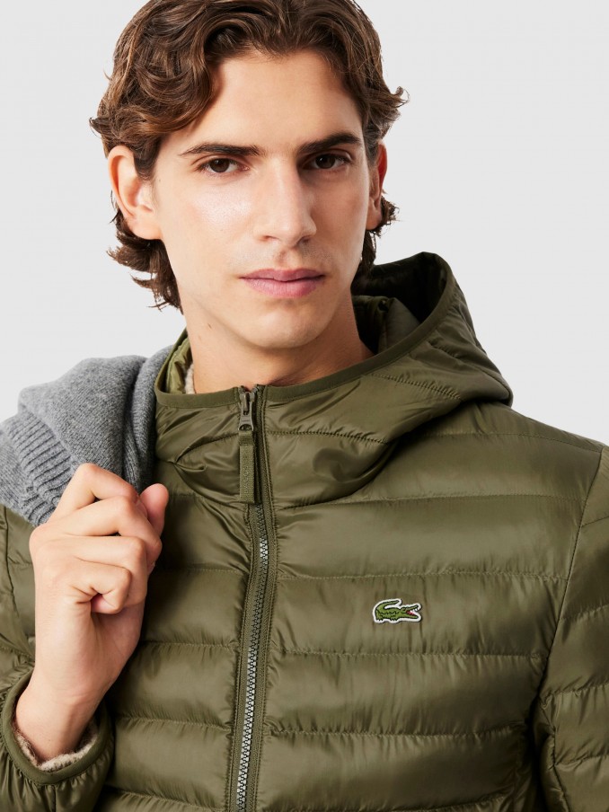 Jacket Man Dark Green Lacoste