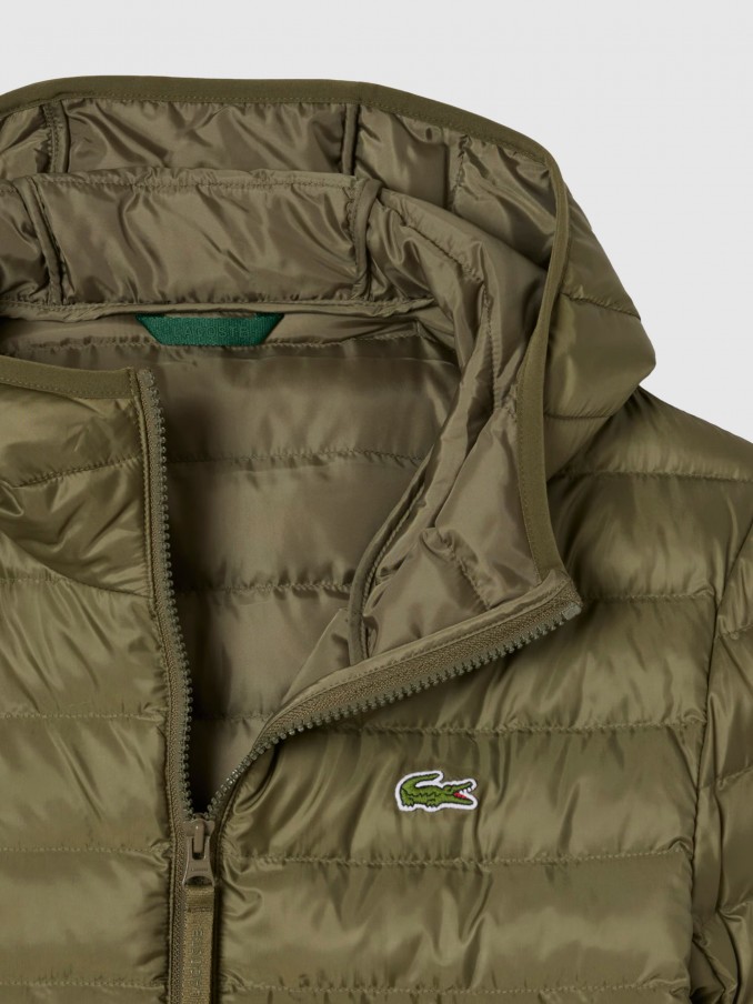 Jacket Man Dark Green Lacoste
