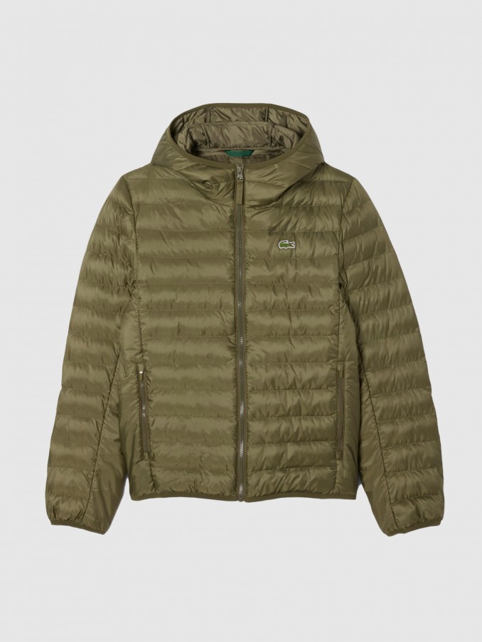 Jacket Man Dark Green Lacoste