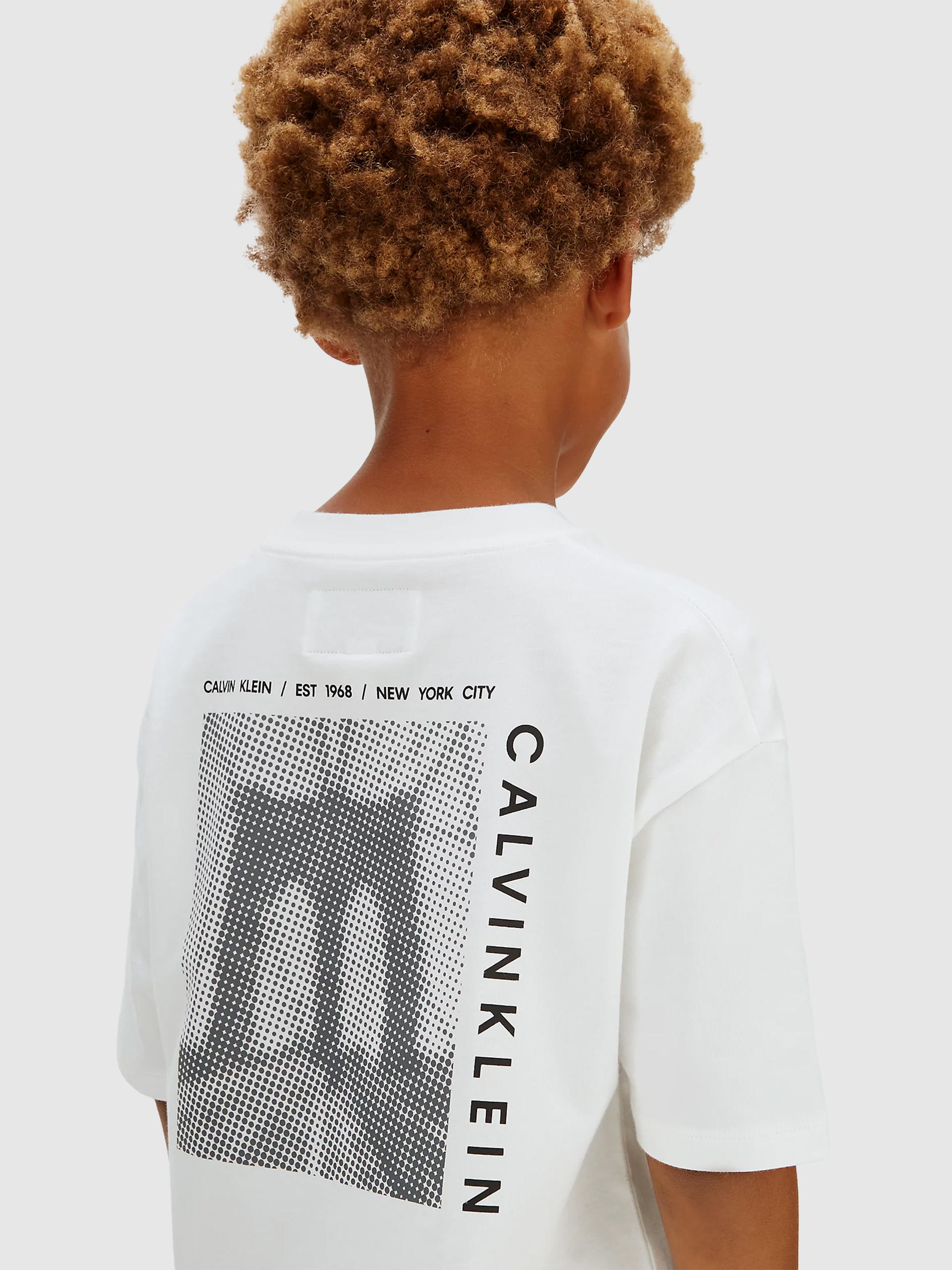 T-Shirt Calvin Klein Menino Bridge Ss T-Shirt