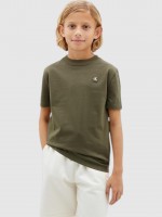 Verde-Lg-Br