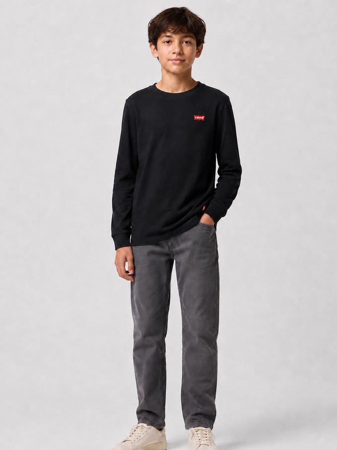 Sweatshirt Boy Levis