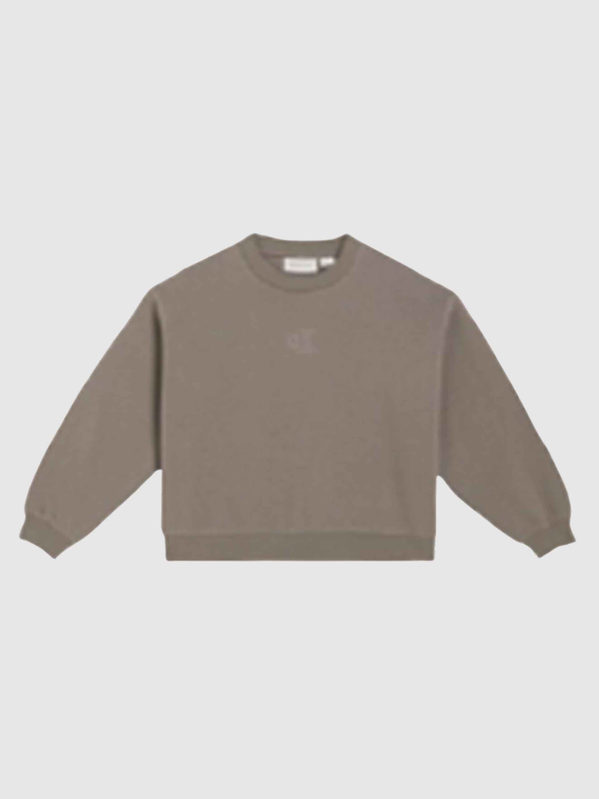Sweatshirt Girl Brown Calvin Klein