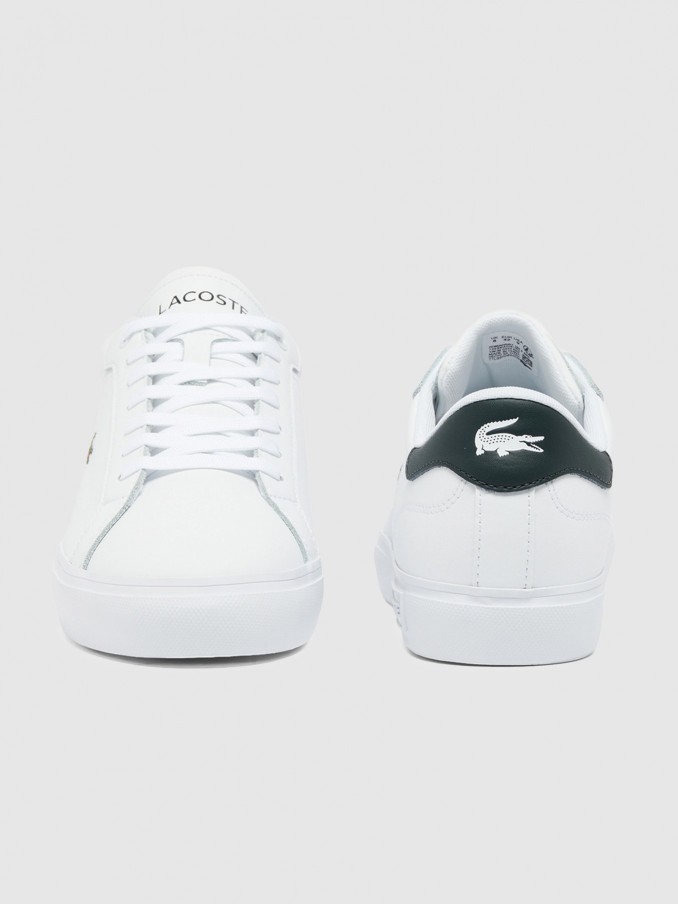 Sneakers Man Lacoste