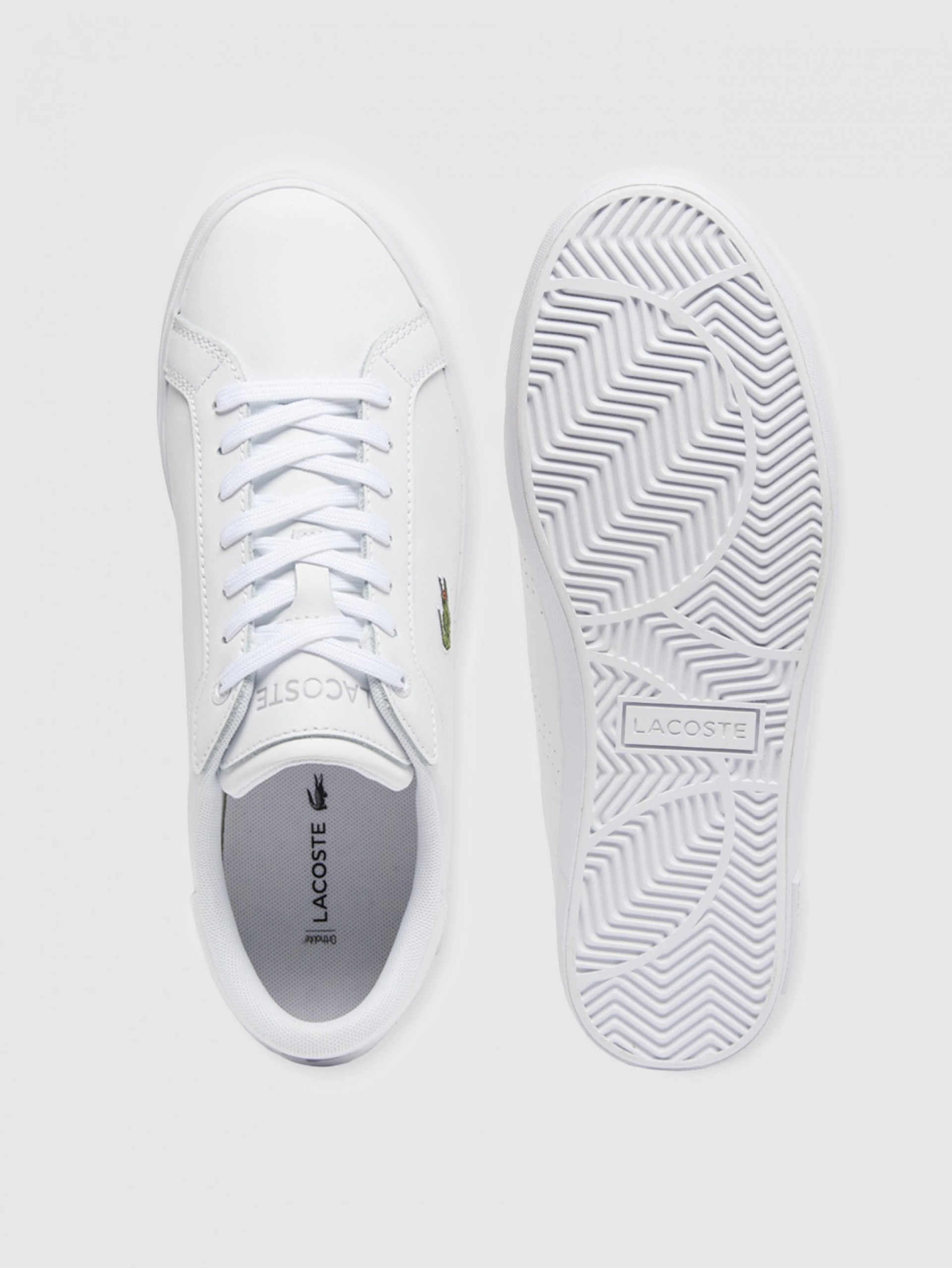 Sneakers Man Lacoste