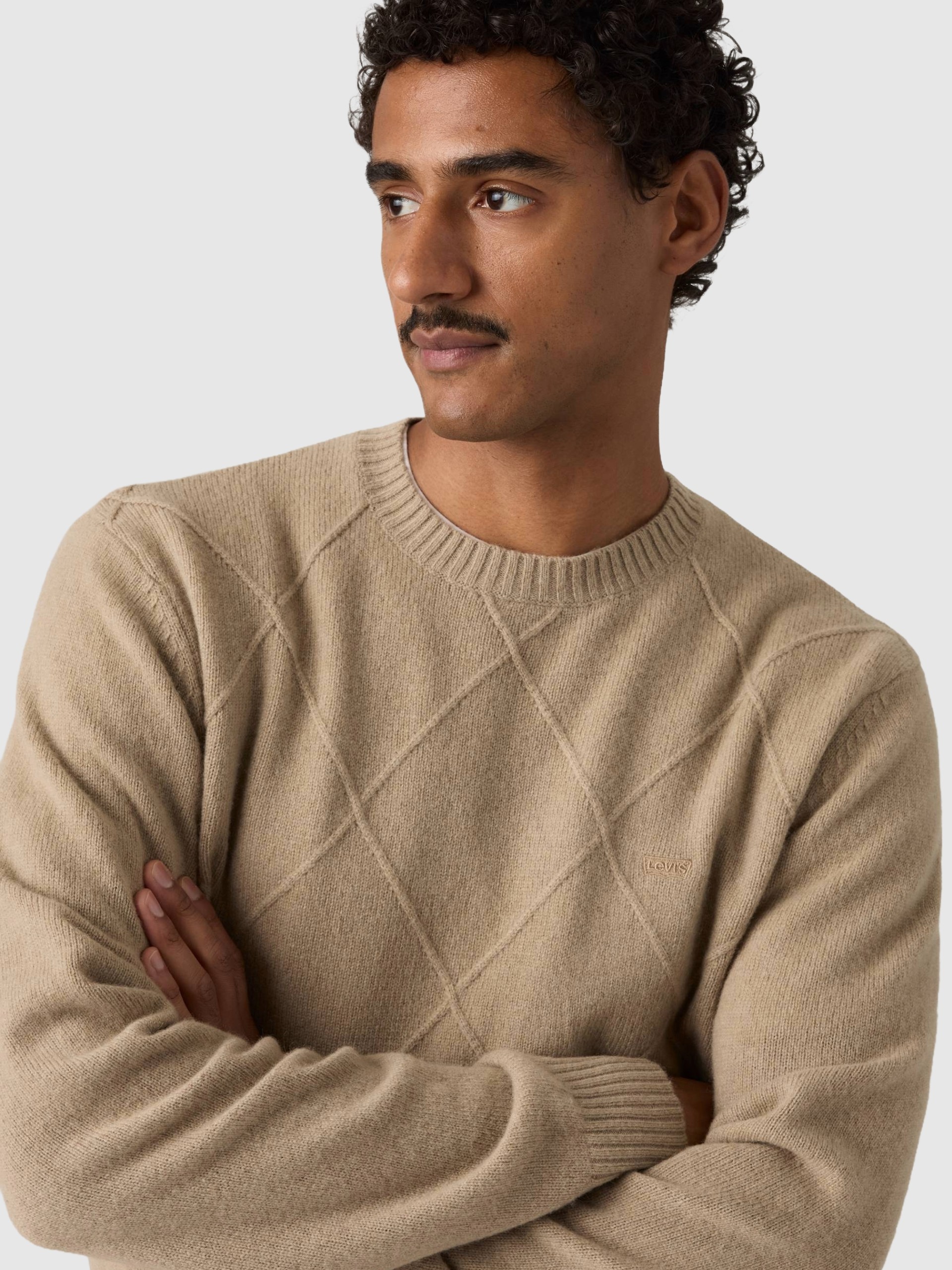 Pullover Man Beige Levis