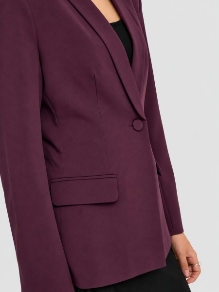 Blazer Woman Bordeaux Only Blazer Woman Bordeaux Only