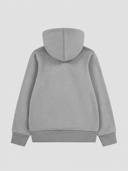 Sweatshirt Levis Menino Lvb Batwing Screenprint Hoodie